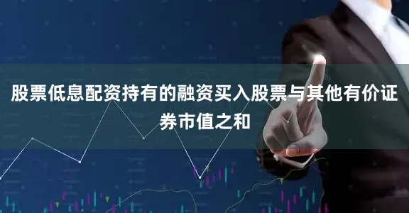 股票低息配资持有的融资买入股票与其他有价证券市值之和