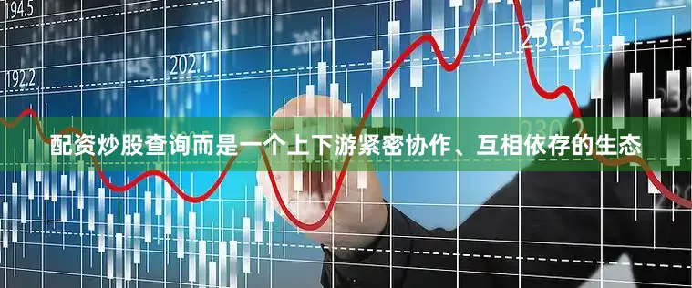 配资炒股查询而是一个上下游紧密协作、互相依存的生态