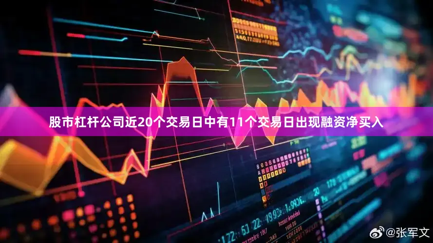 股市杠杆公司近20个交易日中有11个交易日出现融资净买入