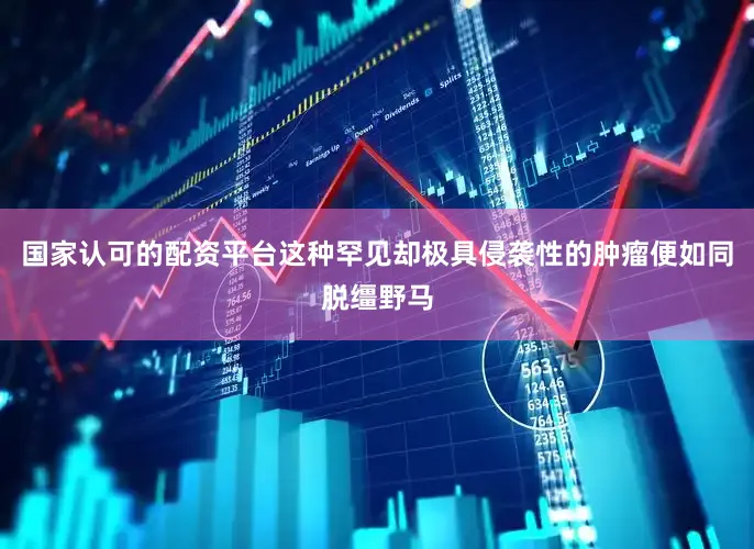国家认可的配资平台这种罕见却极具侵袭性的肿瘤便如同脱缰野马